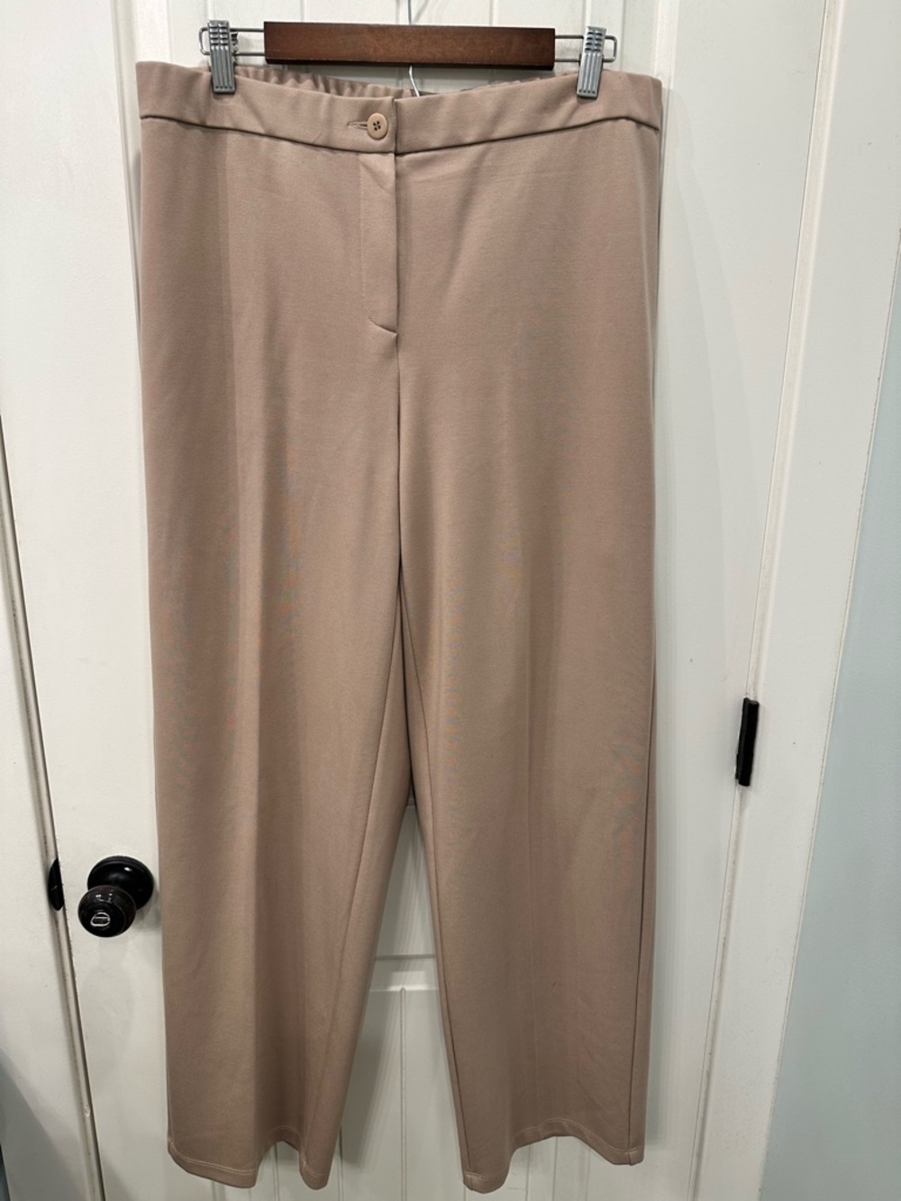 Eileen Fisher Beige Taupe Lyocell Stretch Wide Leg Pull-On Trousers Pants Size L